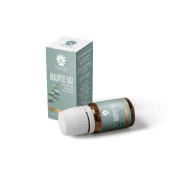 PANLIFE OKALİPTUS YAĞI 10 ML - 1