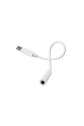 Qpen LS30 Aux to Type-C Dönüştürücü - 2