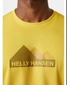 Helly Hansen Tech Graphic Erkek Tişört Sarı HHA.63088HHA348 thumbnail 4