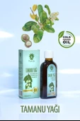 PANLIFE TAMANU YAĞI 100 ML - 1