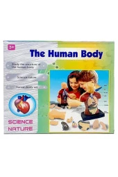 Human Body Kutulu İnsan Vücudu 3301 - 1
