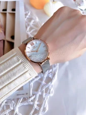 Ferro Hasır Kordonlu Gümüş/Rose Kararmaz Renk Atmaz 3 Atm Özel Tasarım Kadın Kol Saati BF21934CWT-E - 2