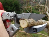 Ars Va-7Z Budama Makası thumbnail 10