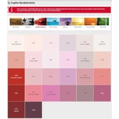 Dyo Beşyıldız Silikonlu Mat İç Cephe Boyası 0141 Meltem 10 Kg thumbnail 4