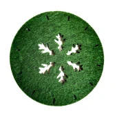 Keçe Yılbaşı Temalı Amerikan Servisi ve Bardak Altlığı 6 lı set - 1