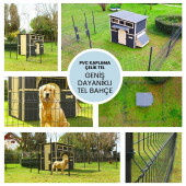MANDU Private Ahşap Bahçeli Köpek Kulübesi - 7