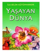 Yaşayan Dünya ve Minik Canlılar Set - 3