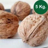 Kabuklu Ceviz 5 Kg - 1