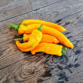 Sarı Kapya Biber Tohumu 25 Adet Tohum thumbnail 3