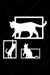 3'lü Kedi Temalı Ahşap Duvar Dekorasyonu Seti Ahşap Tablo - 2
