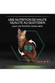 Pro Plan Sterilised Kısırlaştırılmış Somonlu Kedi Maması 10 KG - 4