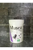Musca Granül Uzun Etkili Karasinek Ilacı 100 gr - 1