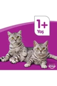 Biftekli Kuru Mama 300 gr X 7 Adet - 2