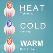 LEFAY Elektrikli Yüz Masaj Cihazı, Kapsamlı Yüz Cilt Bakım Cihazı - 3