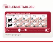 Royal Canin® Fit 32 Yetişkin Kedi Maması 400 Gr x 2 Adet - 2