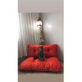 Puf Yeni Koleksiyon Petek Önü Palet Yer Minderi Turuncu thumbnail 1