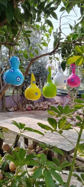 Bahçe Dekorasyon Seti Boyanmış Su kabağı 5'li Paket - 1