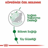 Royal Canin Mini Ageing 12+ Pouch Yaşlı Köpek Konservesi 6 Adet 85 Gr - 3