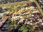 Ormandaki Kulübe Adlı İran Tebriz Halı Tablo 95x75cm - Duvar Halı Kilim Tablo - 3