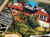 Doğanın Kalbindeki Yuva Adlı İran Tebriz Halı Tablo 100x81cm - Duvar Halı Kilim Tablo thumbnail 4