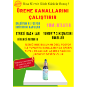 ÜREME KANALLARINI ÇALIŞTIRIR Yumurta sayısını Artırır TÜM KANATLI TÜRLERİ İÇİN KULLANILIR - 1