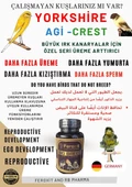 BÜYÜK IRK KANARYALAR İÇİN ÖZEL OLARAK GELİŞTİRİLEN DAHA FAZLA ÜREME VE YUMURTA GEİŞİMİ İÇİN MİX 100 G - 4