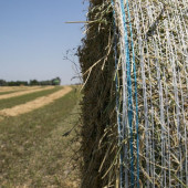 AbkPlastik Silaj File 102cmx3000m - 4