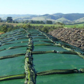 Silaj örtüsü Siyah-Yeşil 300 Cm 300 Micron 85 Kg. thumbnail 1