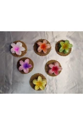 RENGARENK LOTUS ÇİÇEĞİ MANDAL TOKA 6'LI - 3