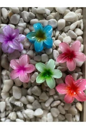 6'LI RENGARENK LOTUS ÇİÇEĞİ MANDAL TOKA thumbnail 1