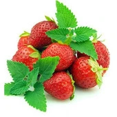 Çilek Kokulu Almira Nane Fidesi (2 adet) thumbnail 1