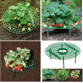 YATE10 (1Adet) Plastik Çilek Geliştirme Standı thumbnail 2