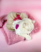 Creamy Fuschia Tütülü Kedi Elbisesi, Kıyafeti Tutu - 5