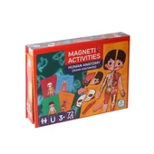 LC986 Manyetik Aktivite İnsan Anatomisi -Laço - 1