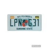 MY FLORIDA SUNSHINE STATE  DEKORATİF PLAKA ( 29 CM 14 CM ) - 2