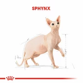 Royal Canin Sphynx Adult Yetişkin Kedi Maması 2 Kg - 2