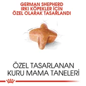 Royal Canin German Shepherd Adult Yetişkin Köpek Maması 11 Kg thumbnail 3