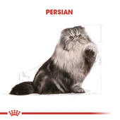 Royal Canin Persian Adult İran Yetişkin Kedi Maması 2 Kg thumbnail 2