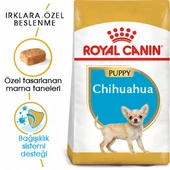 Royal Canin Chihuahua Puppy Yavru Köpek Maması 1,5 Kg thumbnail 2