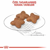Royal Canin Mini Adult Küçük Irk Yetişkin Köpek Maması 8 Kg - 3