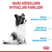 Royal Canin X Small Puppy Küçük Irk Yavru Köpek Maması 3 Kg thumbnail 3