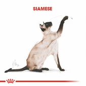 Royal Canin Siamese Adult Siyam Yetişkin Kedi Maması 2 Kg thumbnail 2