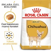 Royal Canin Chihuahua Adult Yetişkin Köpek Maması 1,5 Kg - 2