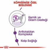 Royal Canin Giant Adult Dev Irk Yetişkin Köpek Maması 15 Kg thumbnail 3