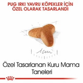 Royal Canin Pug Puppy Yavru Köpek Maması 1,5 Kg - 3