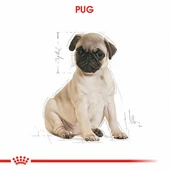 Royal Canin Pug Puppy Yavru Köpek Maması 1,5 Kg - 2