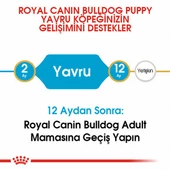 Royal Canin French Bulldog Puppy Yavru Köpek Maması 3 Kg thumbnail 2