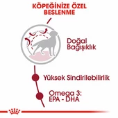 Royal Canin Medium Adult Orta Irk Yetişkin Köpek Maması 15 Kg thumbnail 2