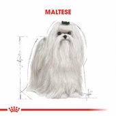 Royal Canin Maltese Terrier Adult Yetişkin Köpek Maması 1,5 Kg thumbnail 3