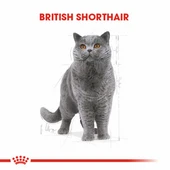 Royal Canin British Shorthair Adult Pouch Yetişkin Kedi Konservesi 6 Adet 85 Gr thumbnail 2